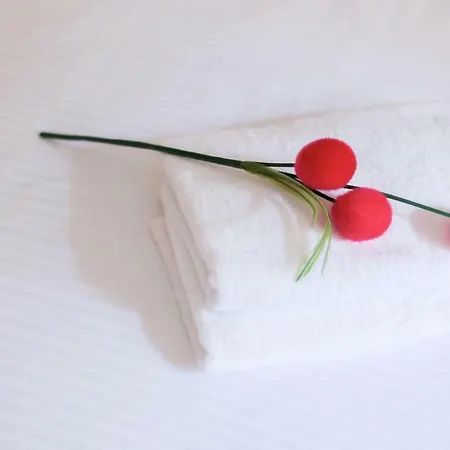 شقة смарт в центрі для пари! дешево з ремонтом! *